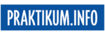 Premium-Stellenanzeige